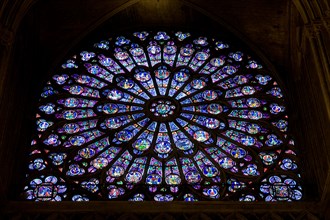 View of Stained Glass window from inside Notre Dame de Paris