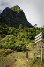 Beginning of a hike in Bras Secs leading to Palmiste Rouge, Reunion Island, French overseas department in the Indian Ocean