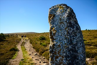 Granite pillars called montjoies mark the route of the Robert Louis Stevenson Trail ascending Mont Lozère in the Cévennes France