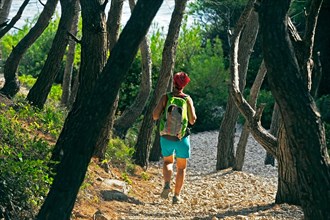 woman hiking through pine forest, France, Provence, Calanques National Park, Marseille Cassis La Ciotat
