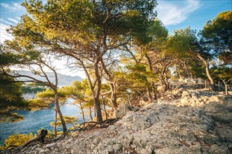 Path Hiking Trails Among Calanques On The French Riviera. Calanques - A Deep Bay Surrounded By High Cliffs.