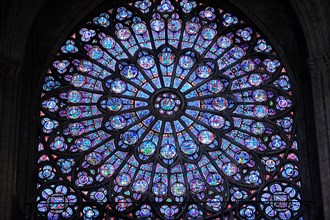 stained glass window in Notre dame cathedral, Paris, France