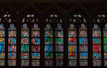 stained gala windows, cathedral of Notre-Dame de Paris , France