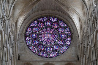 Stained glass east rose window within the cathedral, Laon, France, Europe