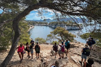 Calanque under the tree