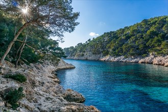 Some views of the calanque national park, a beautiful place