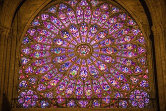 Notre Dame Cathedral, Paris, France. Notre Dame - Paris, France