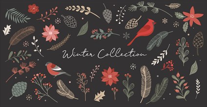 Botanical Christmas, Xmas elements, winter flowers, leaves, birds and pinecones isolated on white backgrounds.