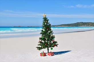 Christmas on the Beach, Cape Le Grand National Park, Western Australia