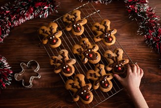 Christmas holiday festive reindeer cookies homemade with little hand