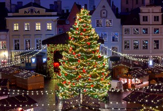 Decorated Christmas tree in the town square. Tallinn. Estonia.