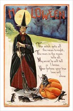 Vintage Halloween greeting card / postcard. Early 1900s. A witch with mice.