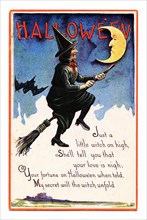 Vintage Halloween greeting card / postcard. Early 1900s. A Witch riding a broom.