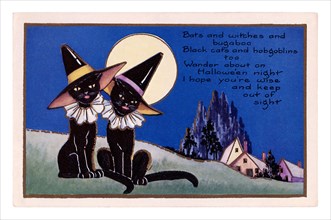 Vintage Halloween greeting card / postcard. Early 1900s. Two black cats in the moon shine.