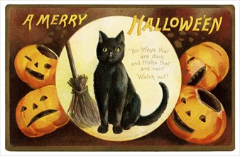 Vintage Halloween greeting card / postcard. Early 1900s. A Black Cat wishes A Merry Halloween.