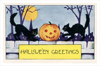 Vintage Halloween greeting card / postcard. Early 1900s. Halloween Greeints feat. two black cats on a fence with a pumpkin.