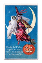 Vintage Halloween greeting card / postcard. Early 1900s. A Witch sitting on the Moon with an owl.