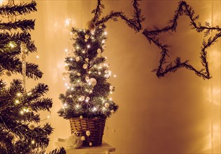 Cute potted Christmas tree decorated with wire micro led lights and small white decorative balls pom poms or felt ball garland indoors at night.