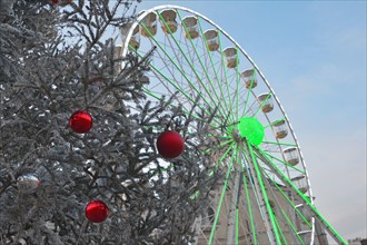 Ferris wheel with fir-tree in France.