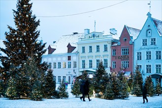 Christmas tree in Tallinn Old Town central square. Nordic holiday decorations in Tallinn.