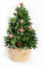 Trendy Christmas tree in wicker basket decorated red and green wooden snowflakes, natural dry flowers, eco materials isolated on white background. Cre