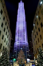 New York. Manhattan. United States. The Rockfeller Center illuminated by night