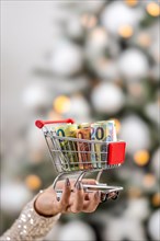 Money for Christmas shopping inside the small trolley held by a female hand.