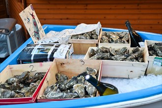 Oysters and champagne for sale at a Christmas market stand in Port Hercule, during the winter holidays, Monte Carlo, Principality of Monaco