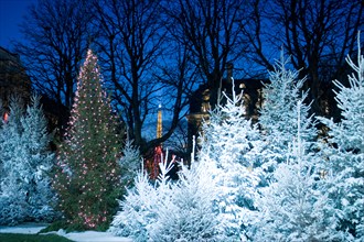 Paris, France, Christmas Trees Lighting on Street, Ave. Montaigne, at night. WINTER SCENE, Christmas snow scenes