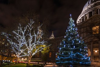 St Paul's cathedral with Christmas tree at night, London, UK