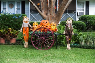 Halloween display of pumpkin jack-o-lanterns and scarecrows on the front lawn of a house