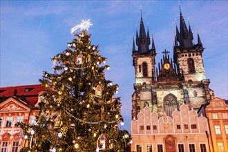 Prague Christmas market Old Town Square, Christmas tree, Prague, Czech Republic