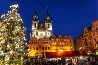 Prague Christmas market, Old Town Square, Christmas market and tree, Prague, Czech Republic