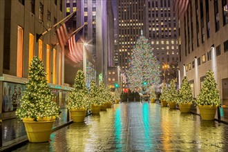 Christmas Tree at the Rockefeller Center in Manhattan, New York City