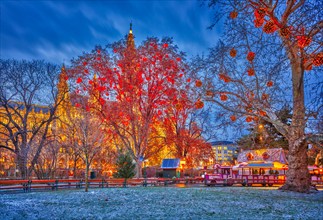 Vienna town hall and park