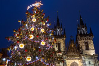 The beautiful Christmas tree and Tyn Church in the Old Town Square in Prague, Czech Republic.