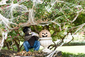 Halloween in front of house decorations