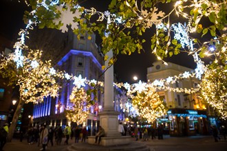 Scenic nighttime view of twinkling Christmas lights strung through trees surrounding the historic Seven Dials monument in London, England, UK