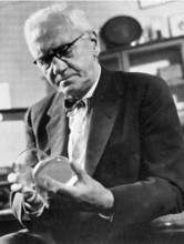 Alexander Fleming, Scottish Biologist