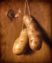 An 1880 painting of potatoes, originally subtitled the Irish Question by the American Artist De Scott Evans (1847–1898)