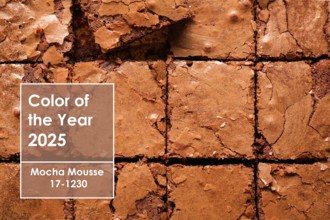 Cut chocolate brownie as background, closeup. Mocha Mousse - color of year 2025