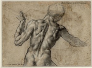 Michelangelo Buonarroti Male back act (study on the soldier of the planned mural "Battle of Cascina"). Black chalk, white heighted Black Chalk, Heightened with White around 1504