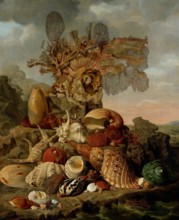 Shells and Marine Plants, Henricus Franciscus Wiertz, 1809 painting Still life with exotic shells and a few pieces of coral, together on a rock on the coast.  canvas. oil paint (paint)  still life of ...