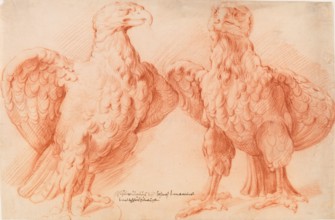 Eagle. Two studies of an antique sculpture; front view half turned to the right, and front view half turned to the left Panneels, Willem 1600 - 1634 Drawing Rubens cantoor: the drawings of Willem Pann...