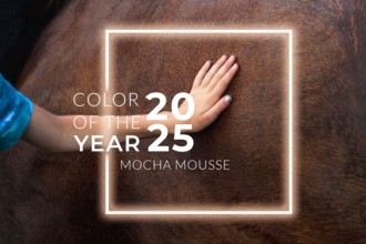 A hand gently resting on a horse, with a warm, soothing color palette inspired by Pantone 2025 color Mocha Mousse, a soft brown and chocolate hue