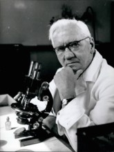 1948 - Sir Alexander Fleming © Keystone Pictures USA/ZUMAPRESS.com/Alamy Live News