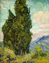 Vincent Van Gogh, Cypresses, landscape painting, 1889