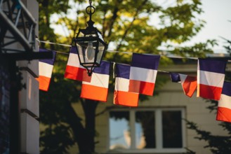 Shallow depth of field (selective focus) details with french flags at a garden party during the France 14th of July National Day.