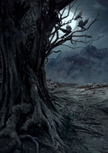 Scary dead tree, night in the mysterious forest with moon light and three crows