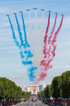 The French National Day Parade, held annually on July 14, 2017, is captured in this official photo taken by Shealah Craighead. It showcases France's national celebration.